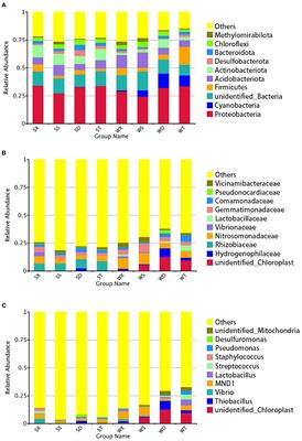 Temperature and phosphorus: the main environmental factors affecting the seasonal variation of soil bacterial diversity in Nansi Lake Wetland